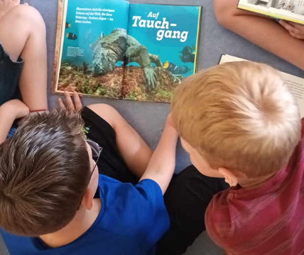 LiteraTour 2025 für die regionale Leseförderung